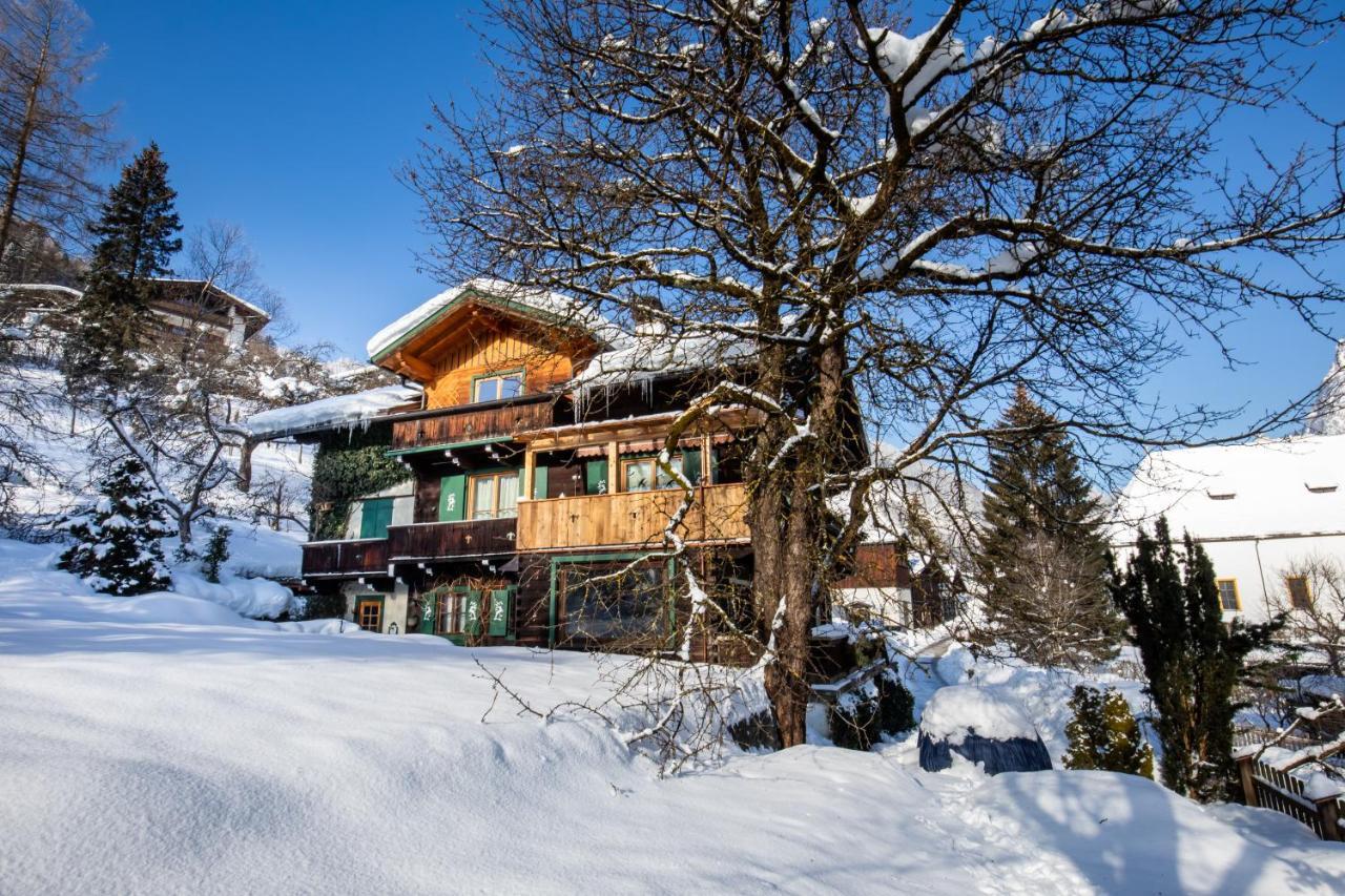Haus Weidmannsheil - Wohnen Im Romantischen Forsthaus Werfen Exterior photo