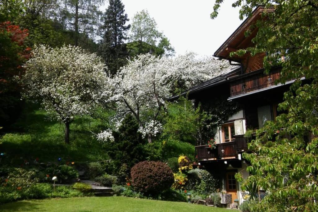 Haus Weidmannsheil - Wohnen Im Romantischen Forsthaus Werfen Exterior photo